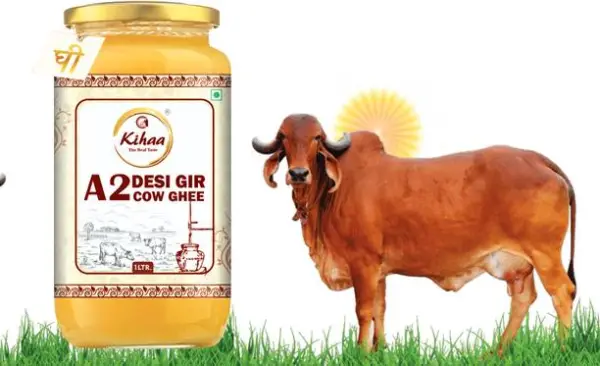 Kihaa Natural Healthy & Fresh A2 Cultured Desi Gir Cow ...